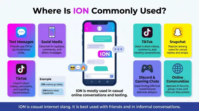 Where Is ION Commonly Used?