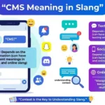 Cms meaning slang