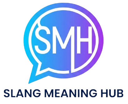 slangmeaninghub.com