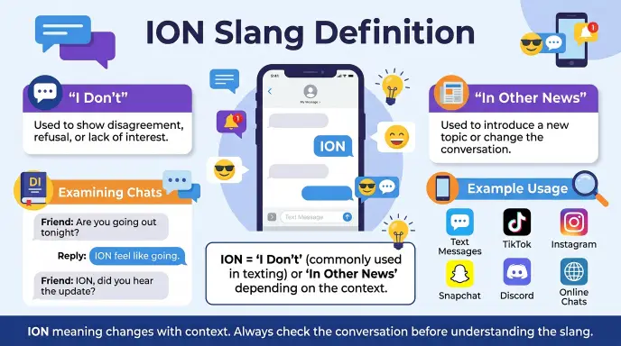 ION Slang Definition