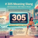 305 Meaning Slang