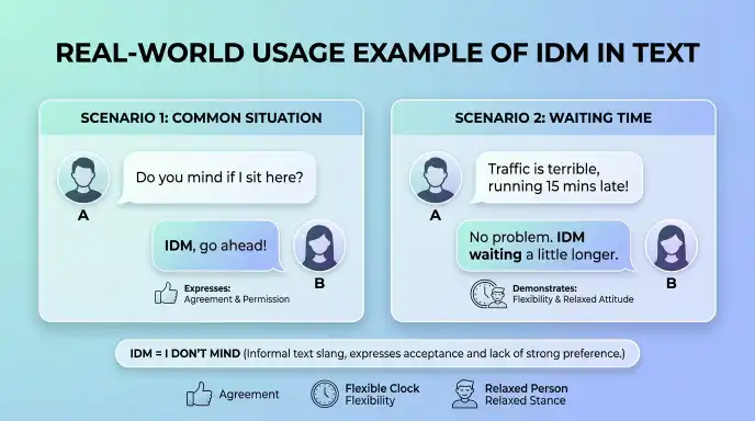 Real-World Usage Example of IDM in Text